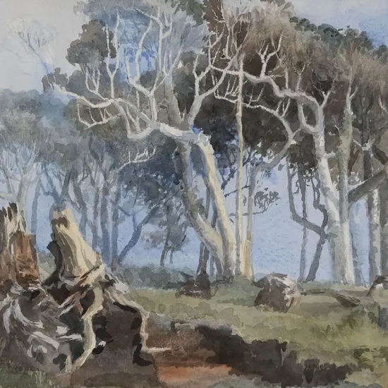 Attrib Sydney Higgs - Tree Study