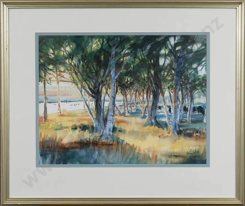 Colin Allen - Ducks at Lindale Image 1++