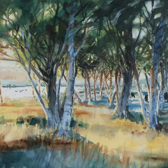 Colin Allen - Ducks at Lindale