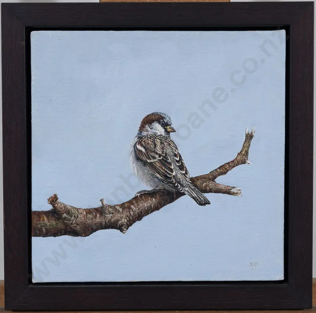 Unknown Artist - Sparrow Image 1++