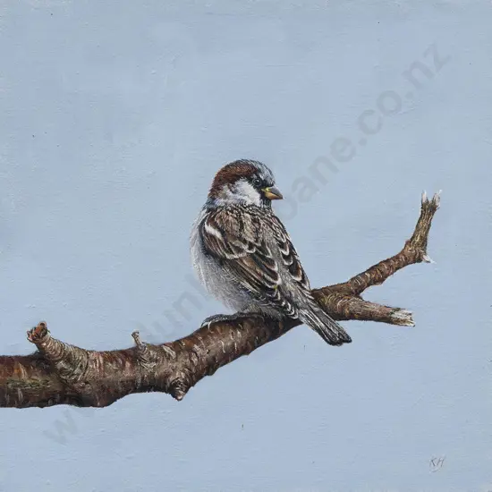 Unknown Artist - Sparrow