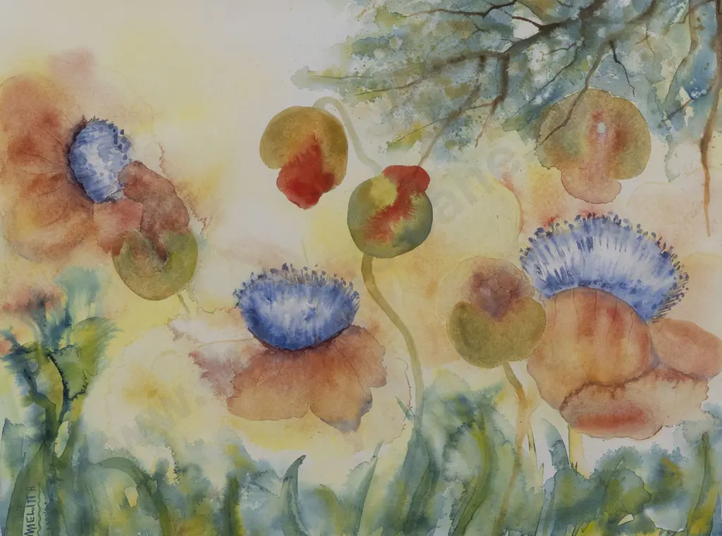 Melitta Hogg - Tall Poppies Image 1++