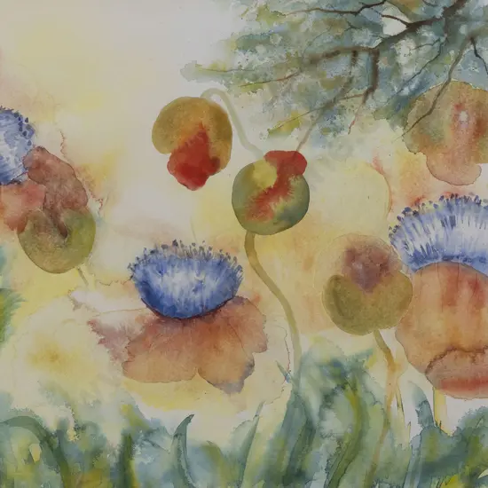 Melitta Hogg - Tall Poppies