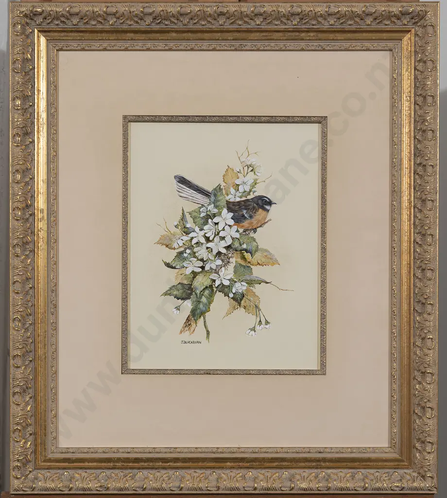 Jeanette Blackburn (b 1940) - NZ Fantail Among Houhere Image 1++
