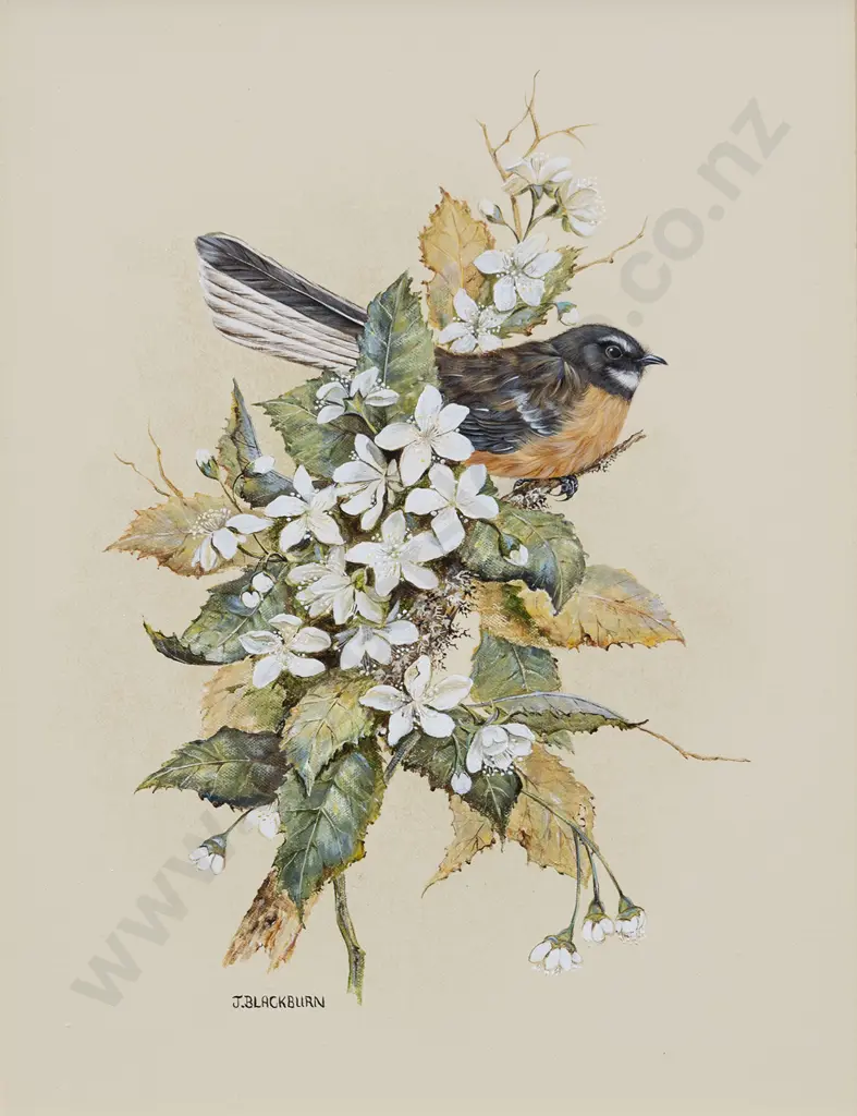 Jeanette Blackburn (b 1940) - NZ Fantail Among Houhere Image 1++