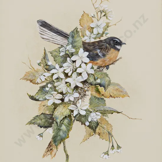 Jeanette Blackburn (b 1940) - NZ Fantail Among Houhere