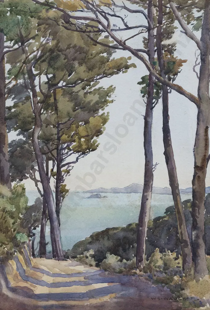 W S Wauchop (1889 - 1971) - Days Bay Image 1++