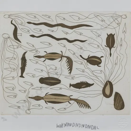 Wayne Bidingal - Billabong Series 2