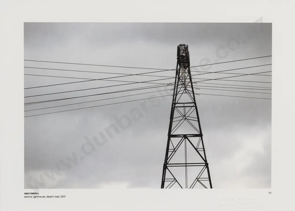 Sean Beldon - Electric Lighthouse Desert Road 2017 Image 1++