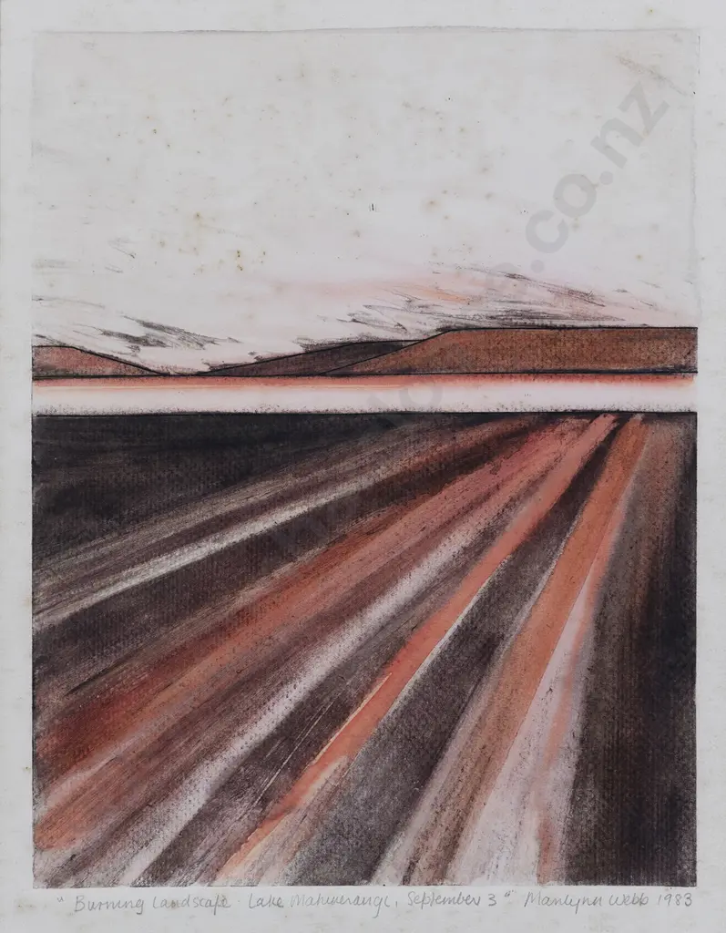 Marilynn Webb (1937 - 2021) - Burning Landscape Lake Mahinerangi (a/f) Image 1++