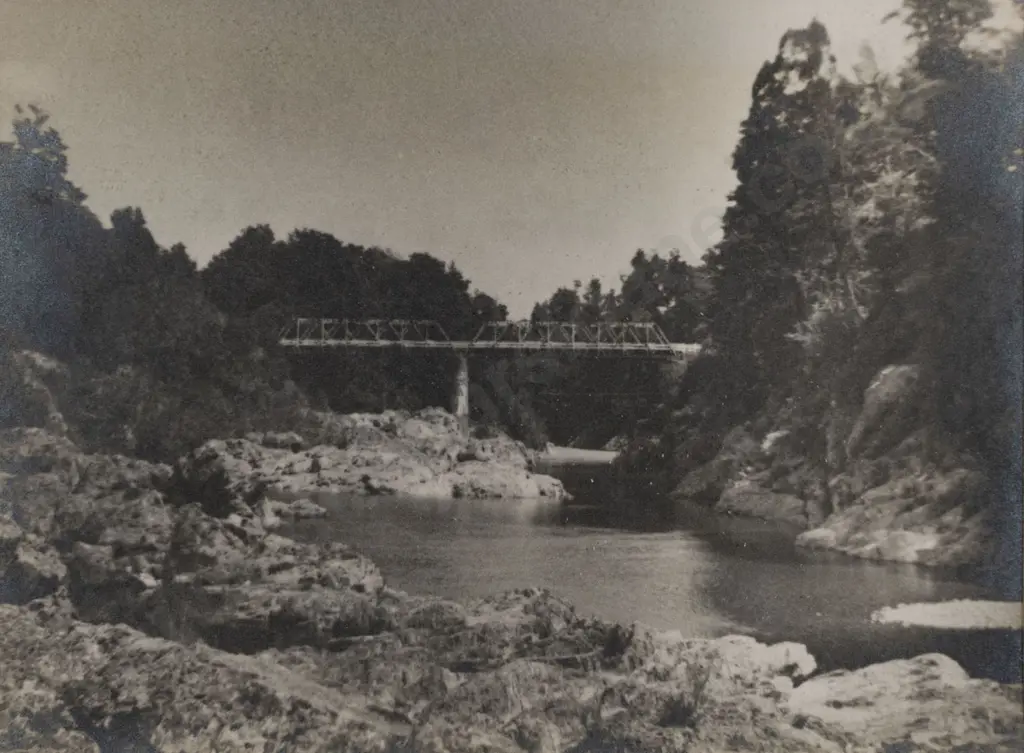 George Chance (1885 - 1963) - Bridge Over Pelorus River Image 1++