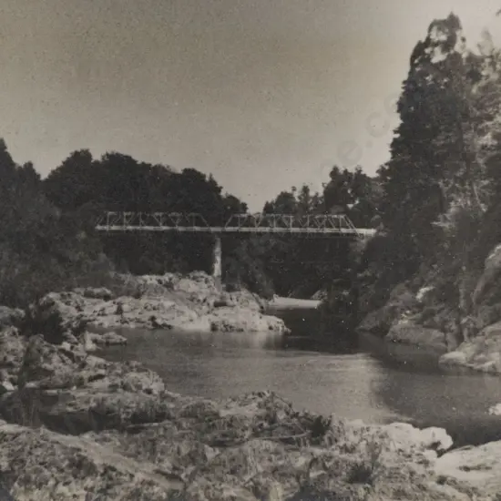 George Chance (1885 - 1963) - Bridge Over Pelorus River