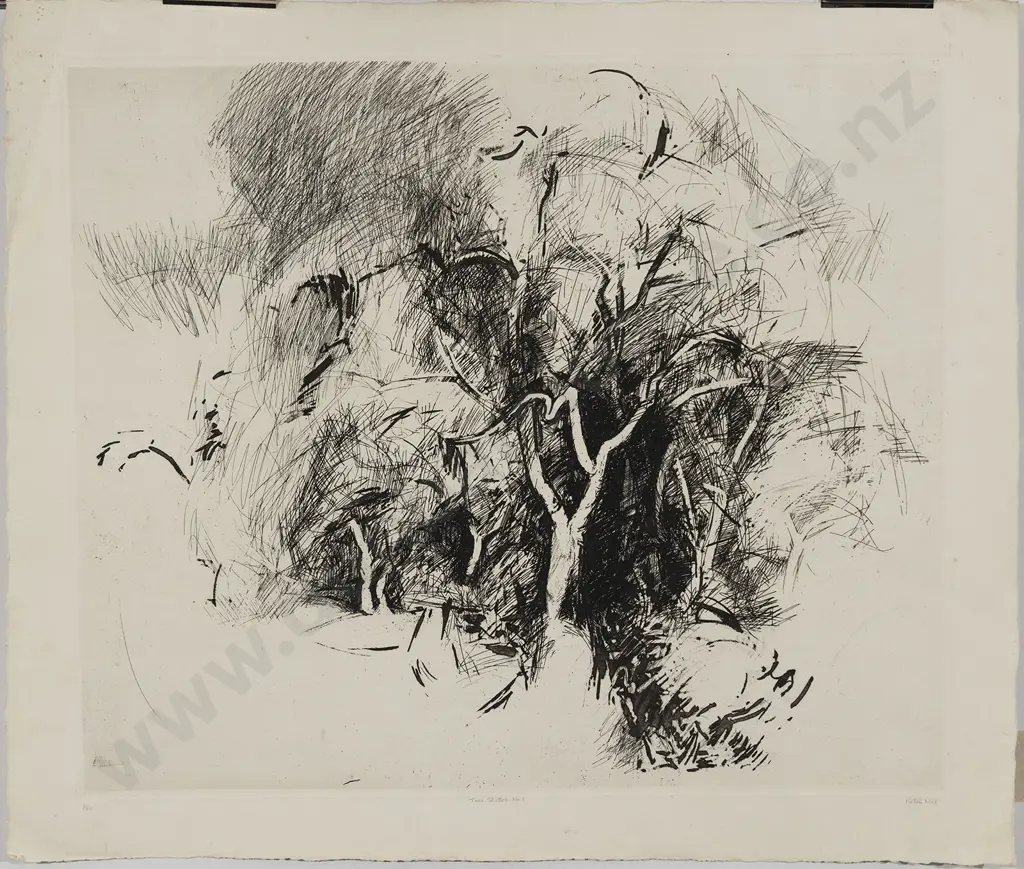 Petra Nel - Tree Sketch No1 Image 1++