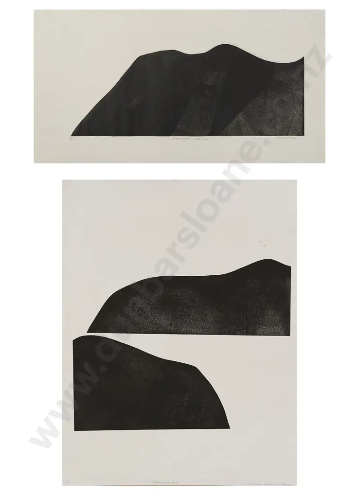 Susan Skerman - Wellington Hills Image 1++