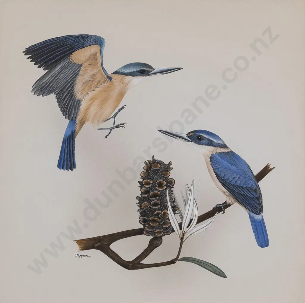 Janet Marshall (b 1947) - Kingfishers on Banksia Image 1++