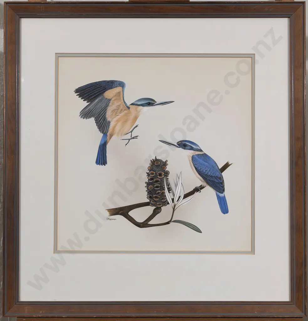 Janet Marshall (b 1947) - Kingfishers on Banksia Image 1++