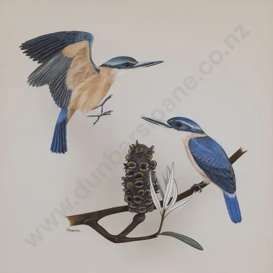 Janet Marshall (b 1947) - Kingfishers on Banksia