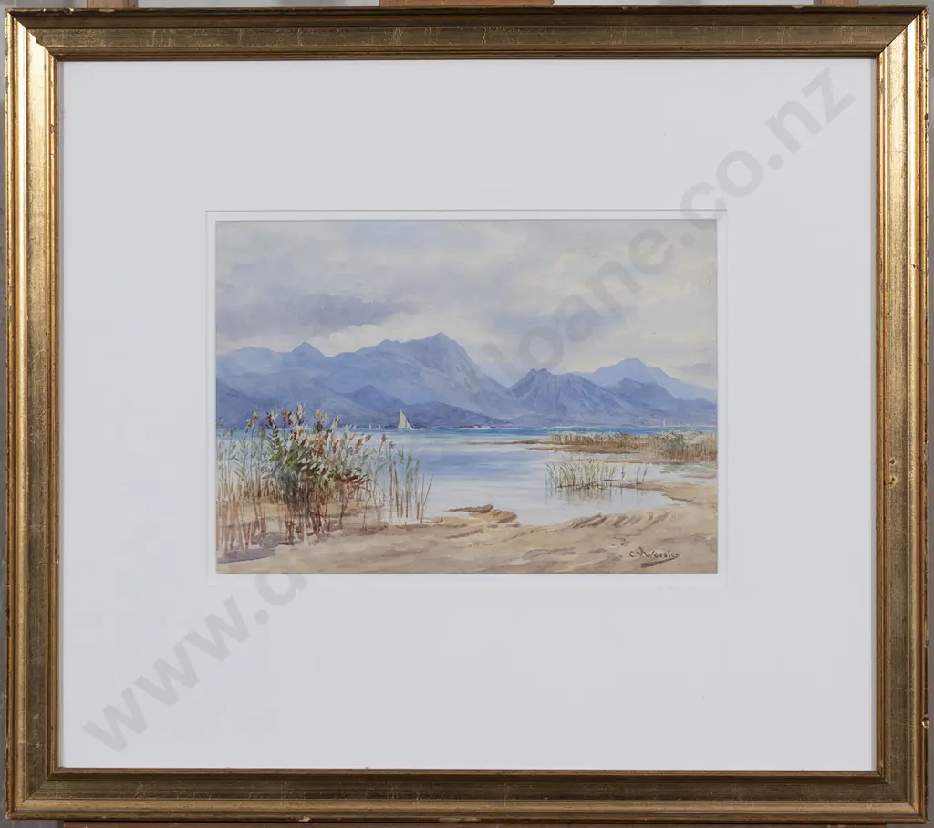 Charles Nathaniel Worsley (1862 - 1923) - South Island Landscape Image 1++
