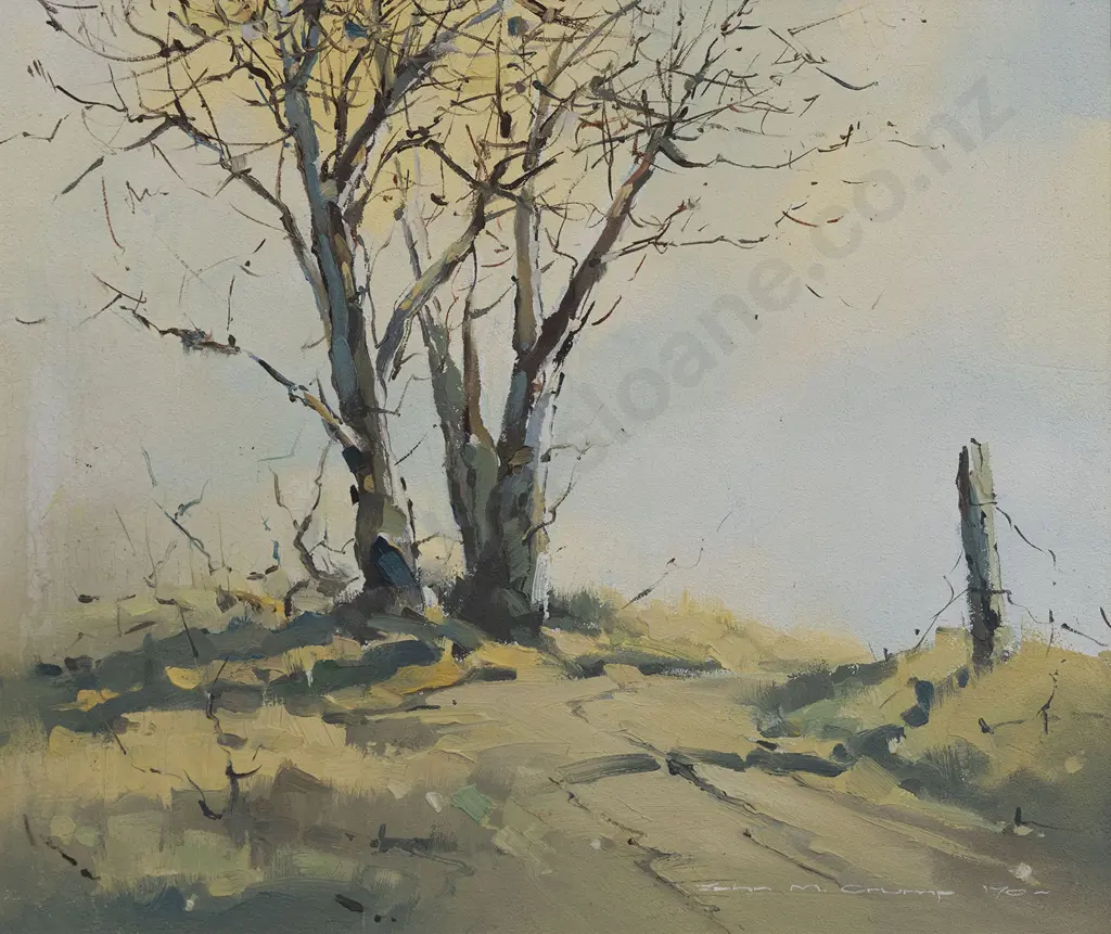 John Crump (b 1943) - Sunlit Birch Image 1++