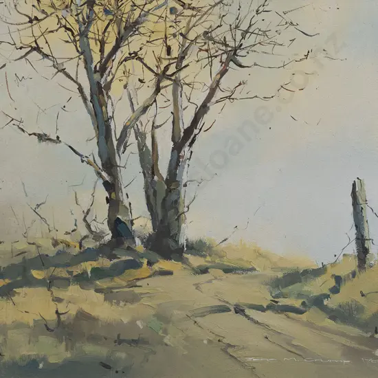 John Crump (b 1943) - Sunlit Birch