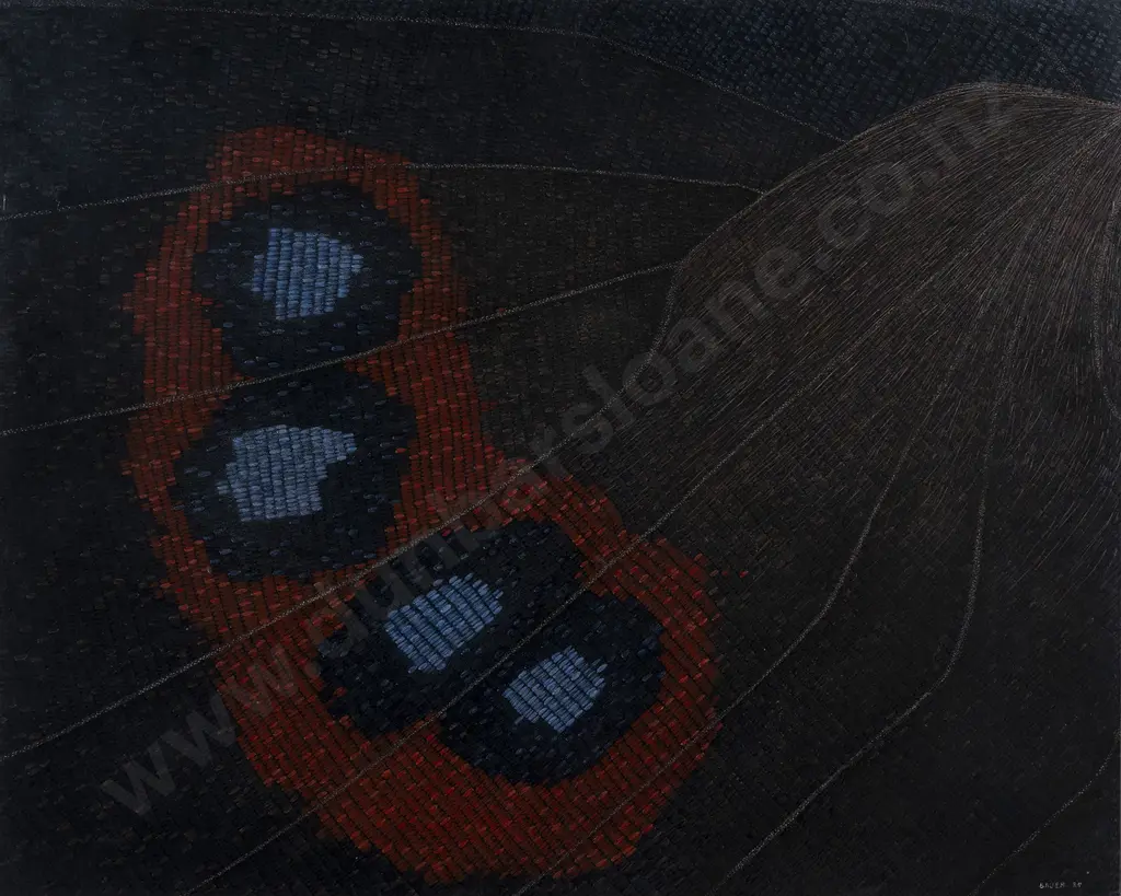 Carol Anne Bauer - Red Admiral Image 1++