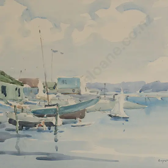 Gwyneth Richardson - Okahau Bay Auckland