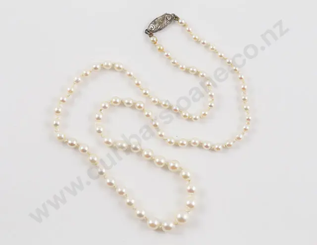 Single Strand Graduated Cultured Pearl Necklace Image 1++