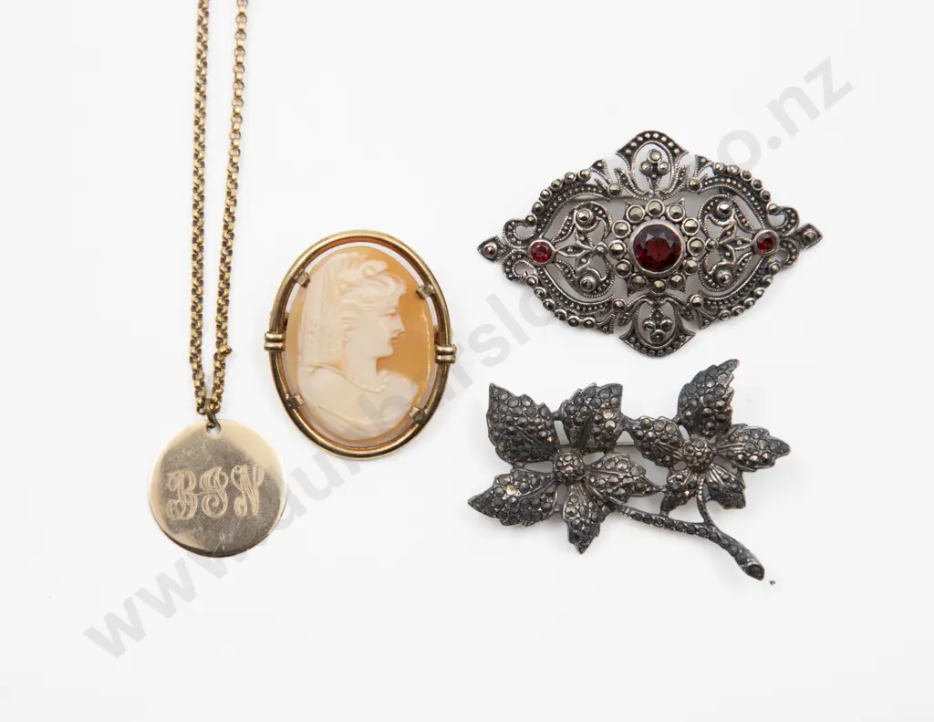 S/S Marcasite Spray Brooch Image 1++
