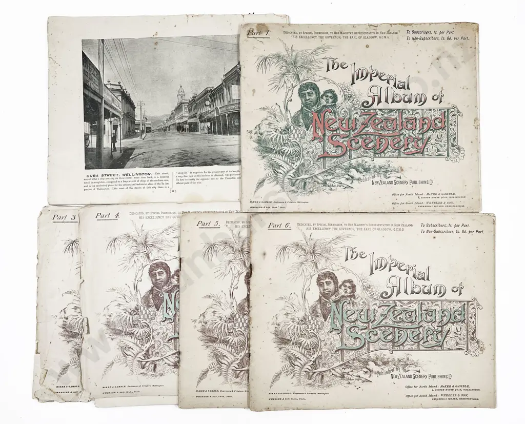 Twenty-Four Copies of The Imperial Album of New Zealand Scenery Image 1++