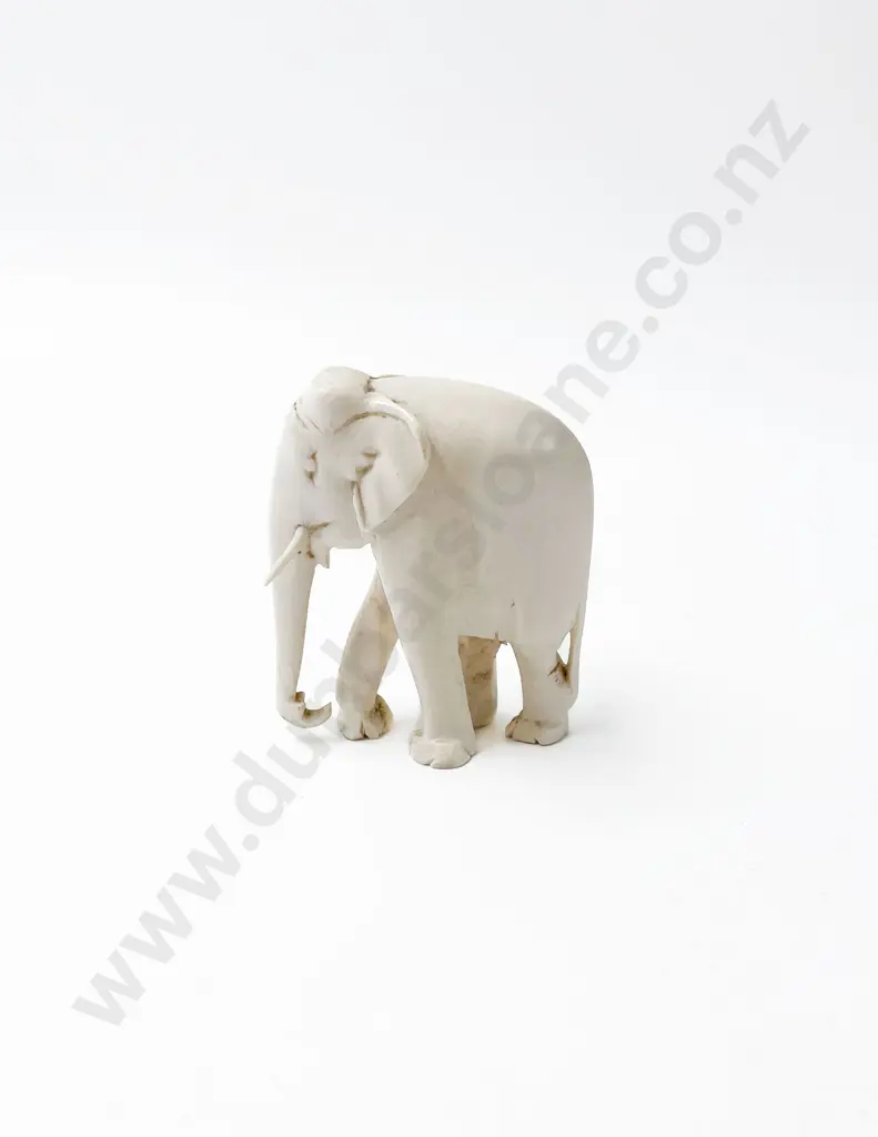 Small Ivory Elephant Image 1++