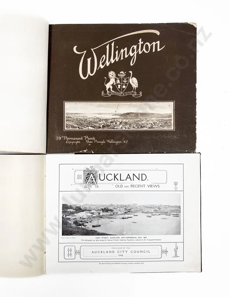 Vintage Album Views Of Auckland & Wellington (20 Image 1++