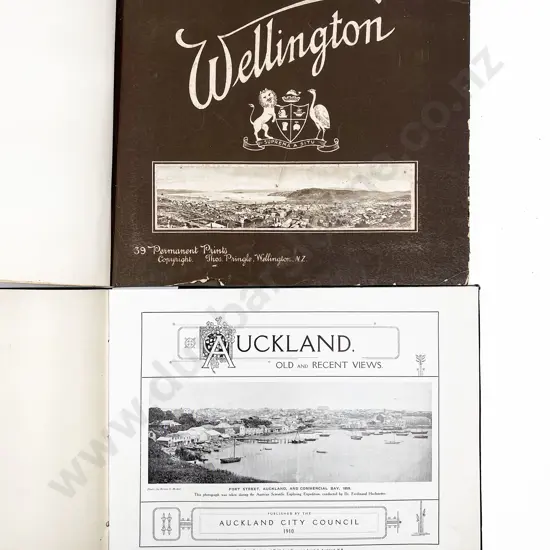 Vintage Album Views Of Auckland & Wellington (20