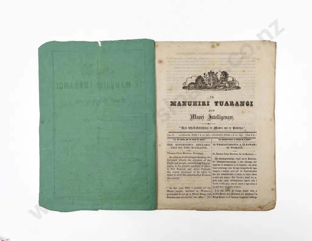 Te Manuhiri and Maori Intelligence Image 1++