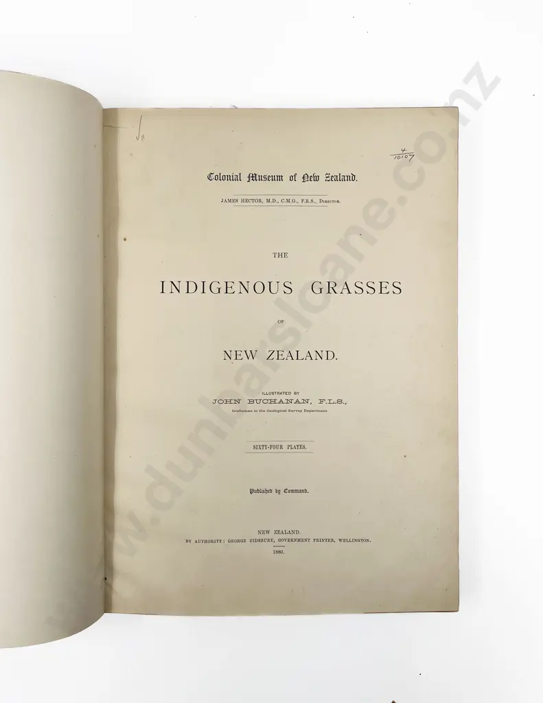 Buchanan John - The Indigenous Grasses of New Zealand Image 1++
