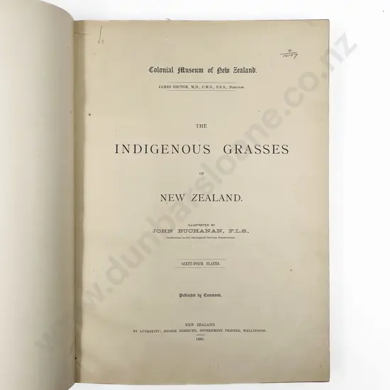 Buchanan John - The Indigenous Grasses of New Zealand