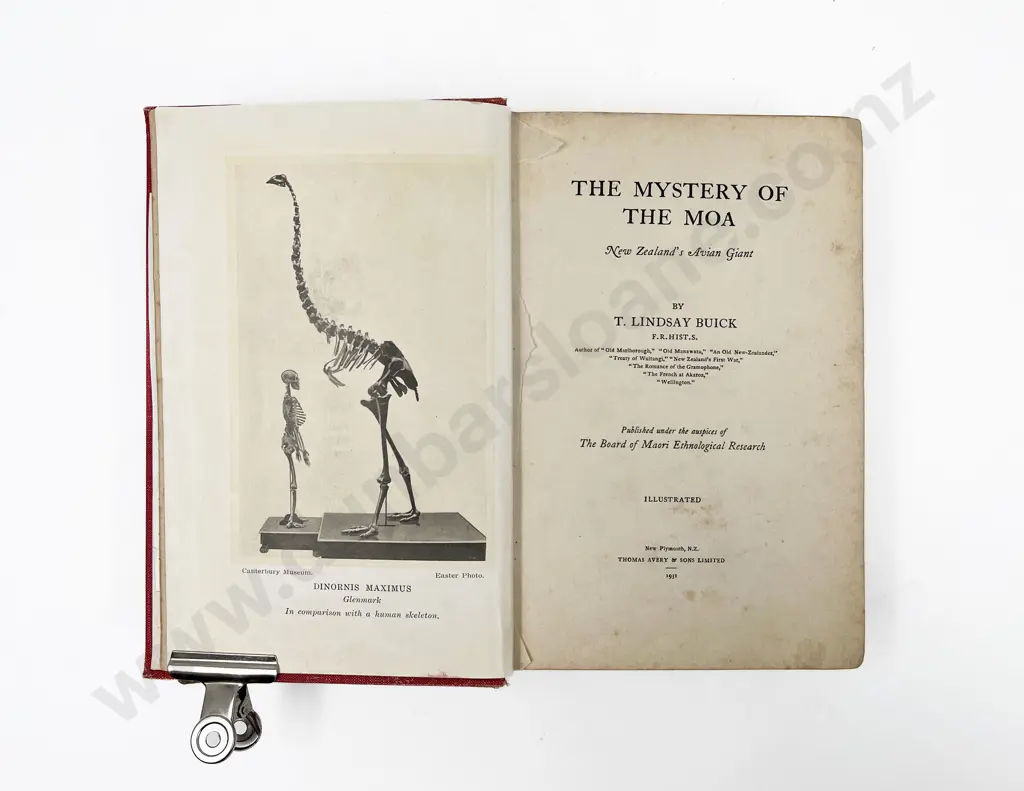 3 New Zealand Natural History Volumes Image 1++