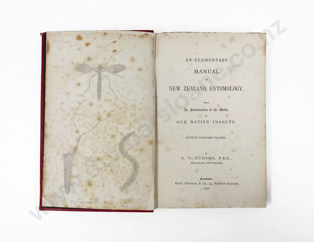 3 New Zealand Natural History Volumes Image 1++