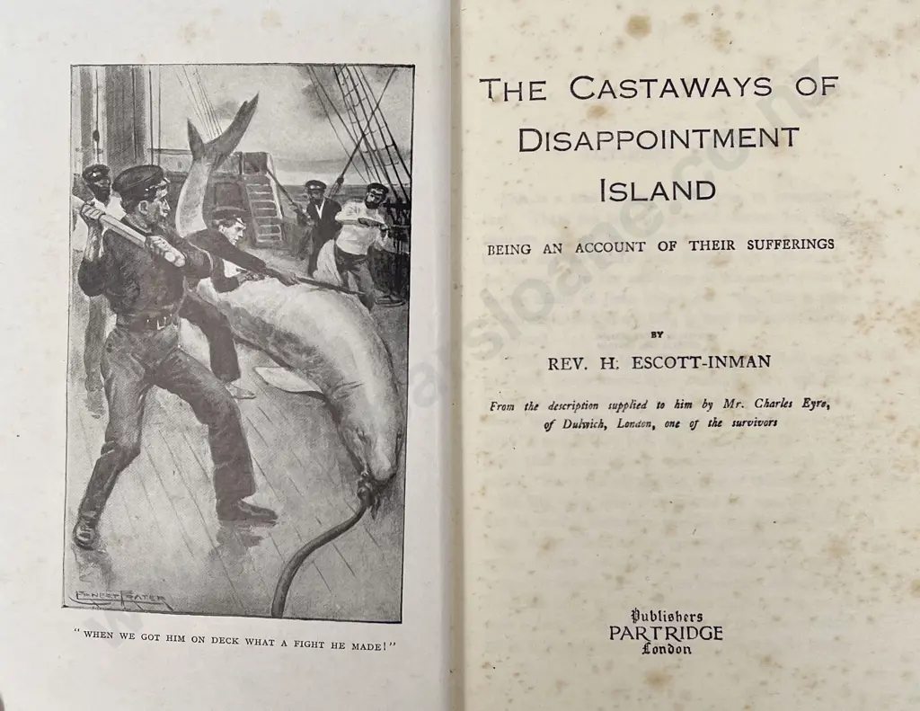 Escott-Inman Rev H - The Castaways Of Disappointment Island Image 1++
