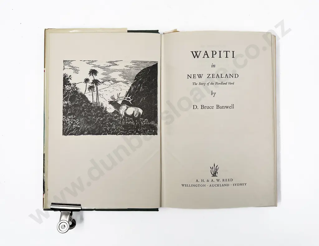 Banwell D Bruce - Wapiti in New Zealand Image 1++