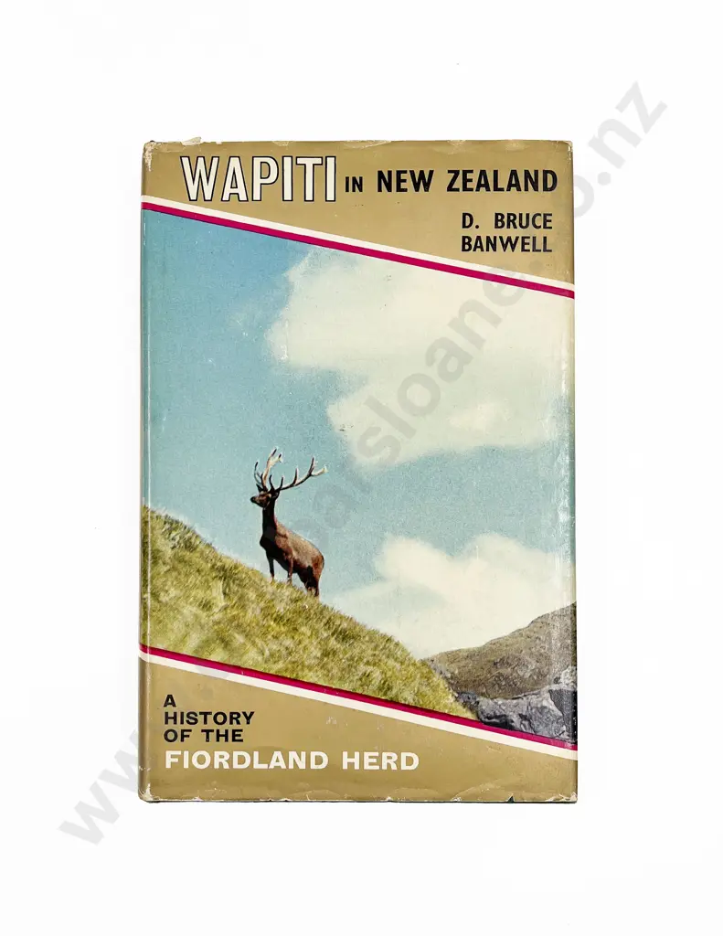 Banwell D Bruce - Wapiti in New Zealand Image 1++