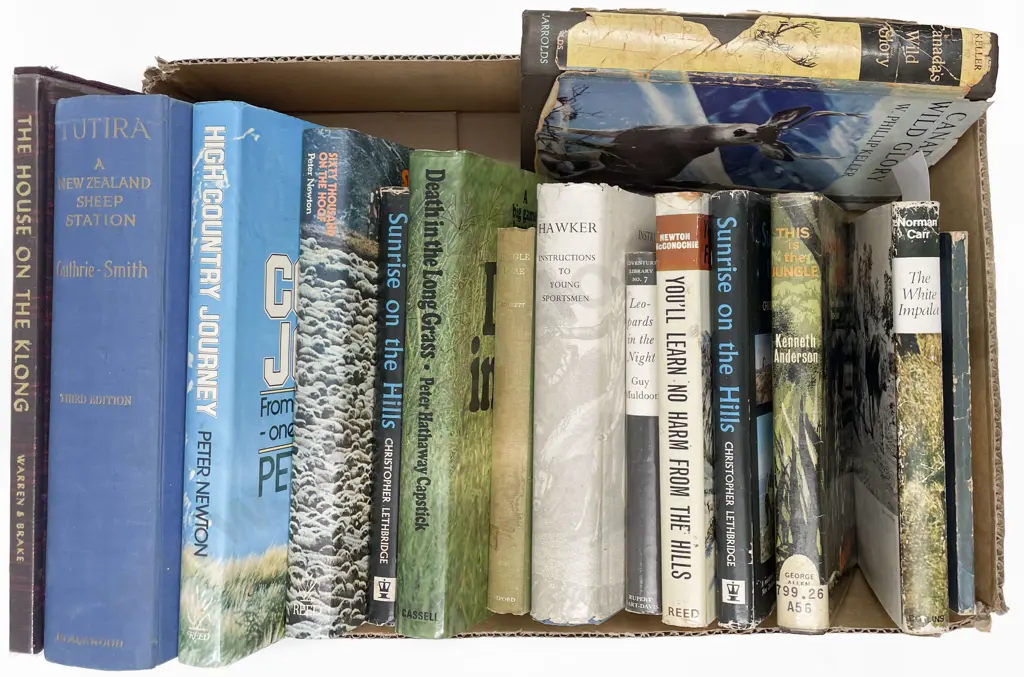 Box Of Sporting Image 1++