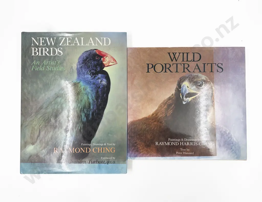 2 Raymond Ching Books Image 1++
