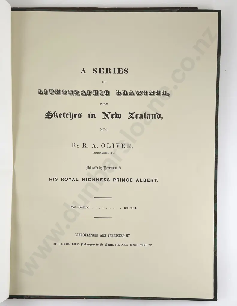 Oliver R A - A Series of Lithographic Drawings from Sketches in New Zealand Image 1++