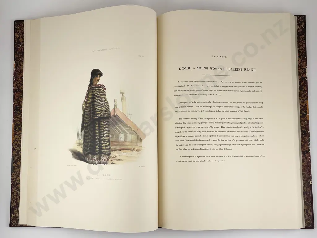 Angas George French - The New Zealanders Illustrated Image 1++