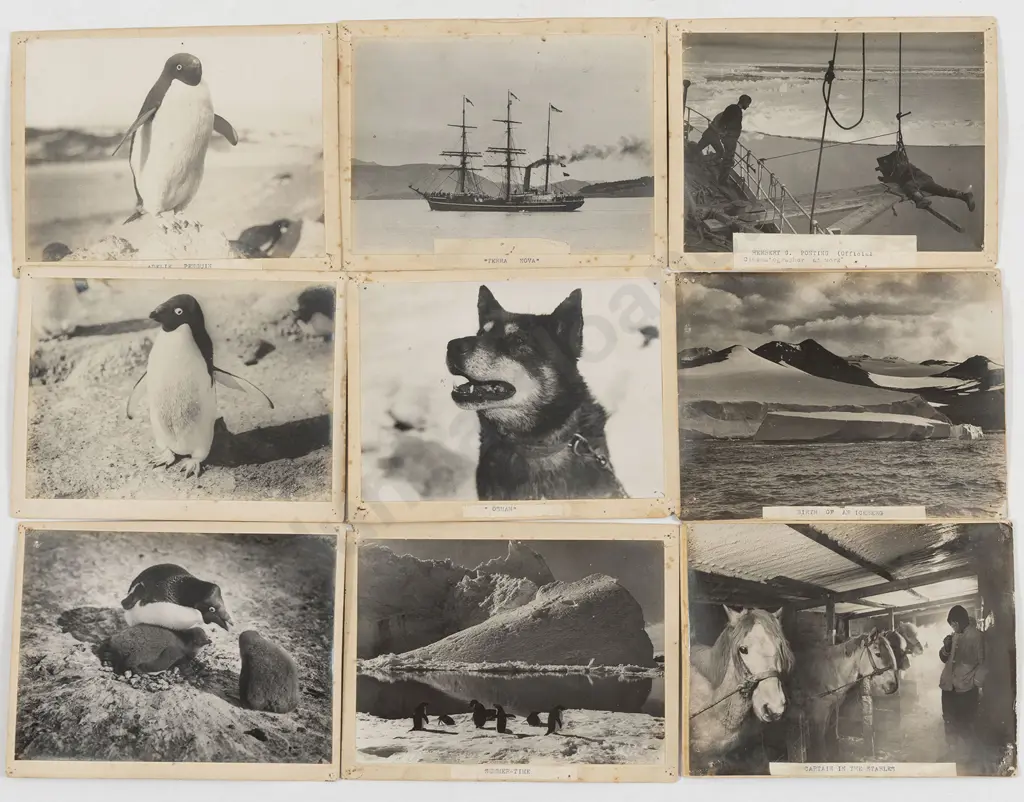 Herbert G Ponting - 20 Photographs From The British Antarctic "Terra Nova" Expedition 1910-13 Image 1++