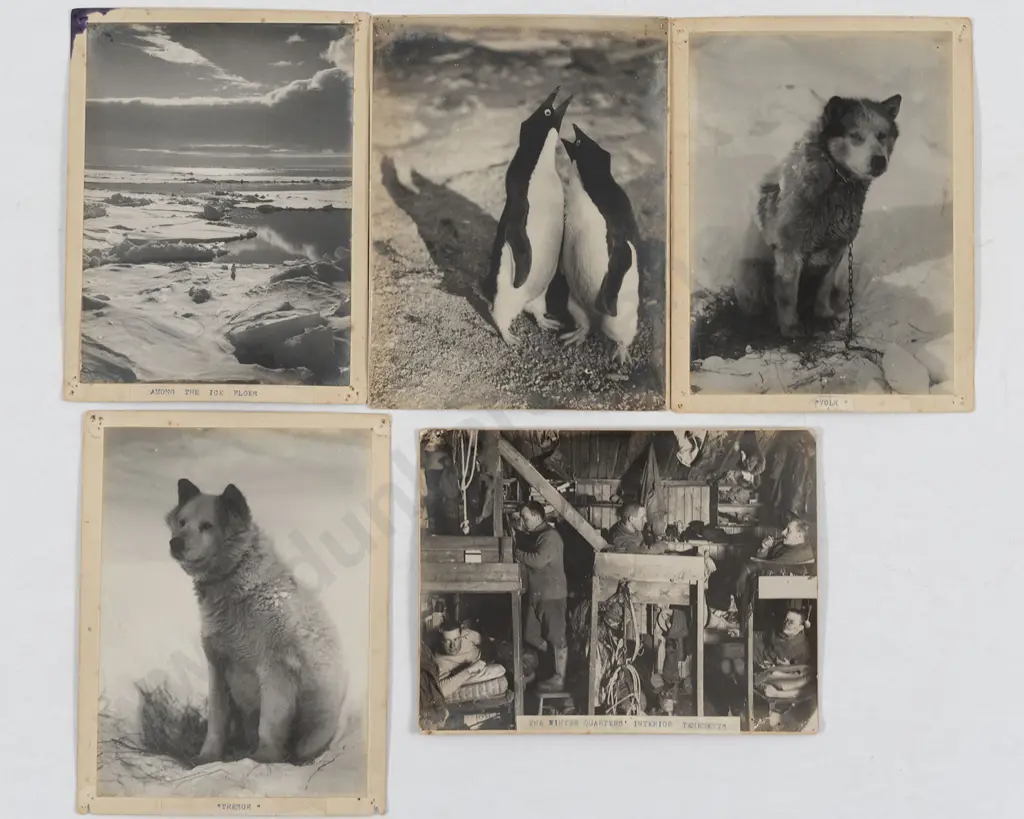 Herbert G Ponting - 20 Photographs From The British Antarctic "Terra Nova" Expedition 1910-13 Image 1++