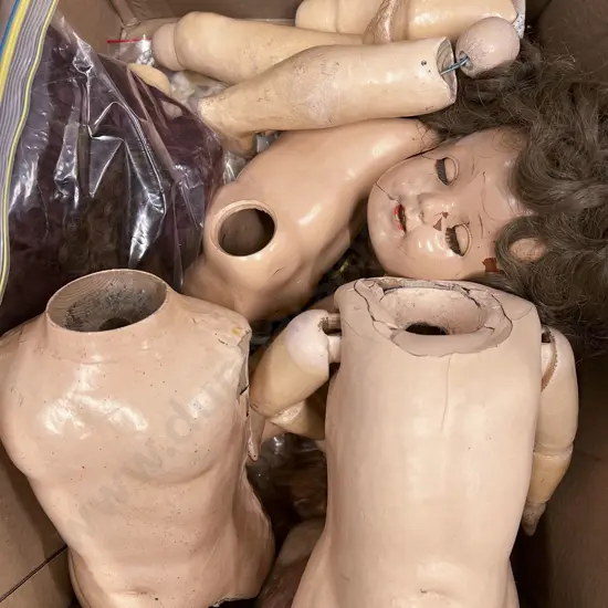 Collection Vintage Bisque Doll Body Parts