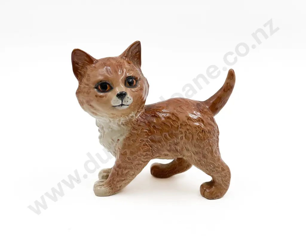 Ginger Beswick Cat Image 1++