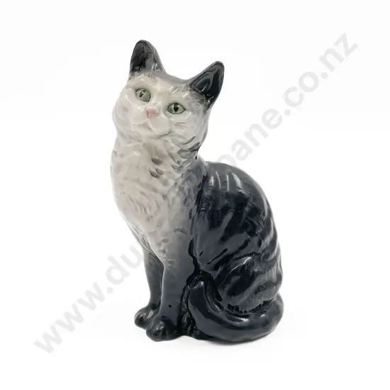 Tabby Beswick Cat