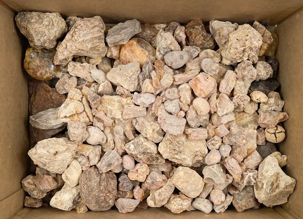 Box of Assorted Kauri Gum Image 1++